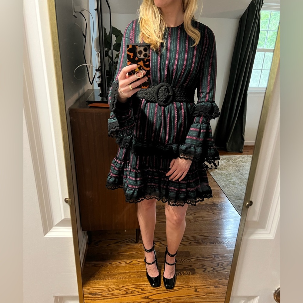 Erdem dress